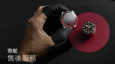 广西崇左帝舵维修服务中心地址